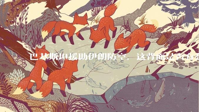 巴基斯坦援助伊朗防空，这背面是否有东方大国的影子？