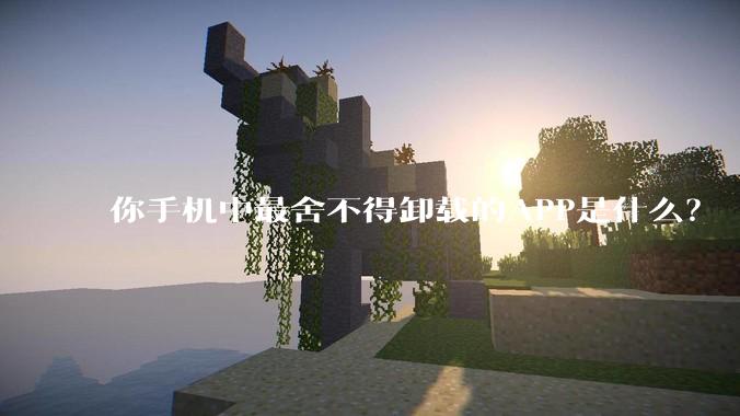 你手机中最舍不得卸载的APP是什么？