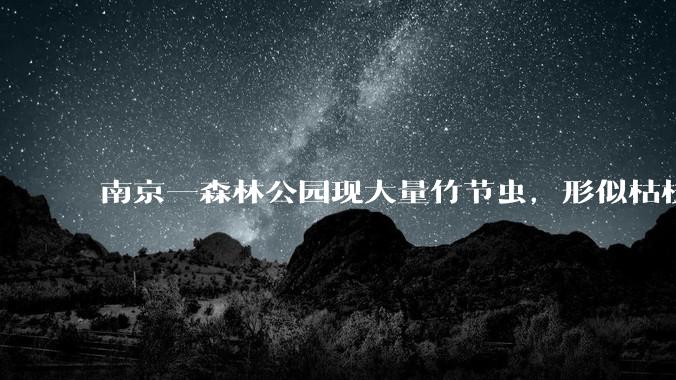 南京一森林公园现大量竹节虫，形似枯枝，网友称凑近才发现是虫子落荒而逃，竹节虫会不会咬人？碰到它会怎样？